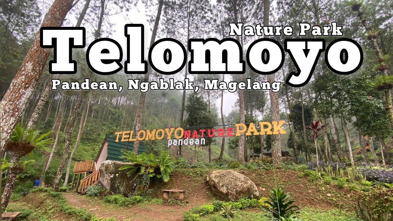 Telomoyo Nature Park: Keindahan Alam dan Aktivitas Menarik